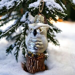3" Shimmery Silver Owl Ornament Hand Blown Glass Thomas Pacconi Classics 2002